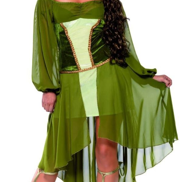 Costume da Regina dei Boschi