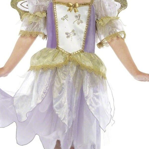 Costume da Principessa delle Fate