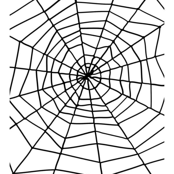 Ragnatela in Plastica Nera