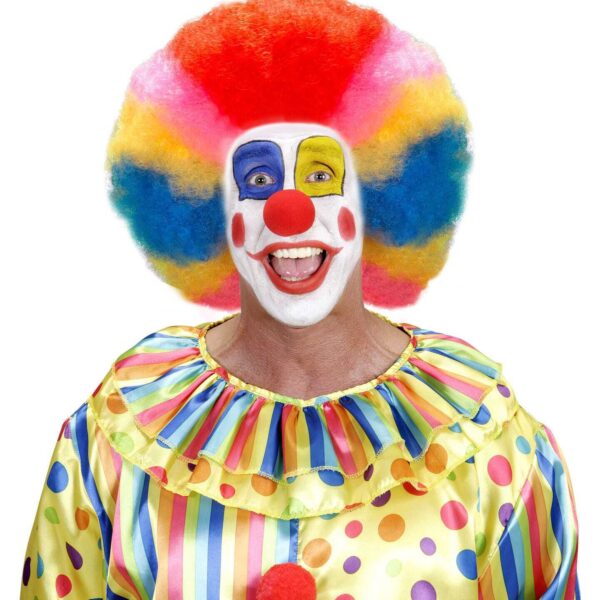 Maxi Parrucca da Clown Multicolore