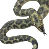 Serpente Pitone Verde