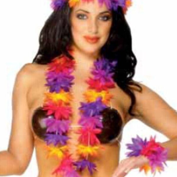 Kit Hawaiano multicolore