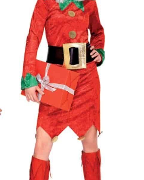 Costume da Elfa