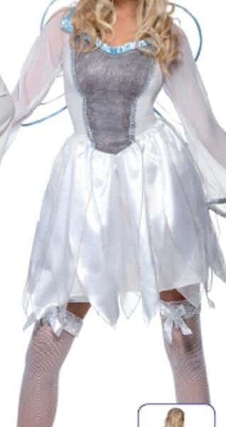 Costume da Fata dell'Inverno