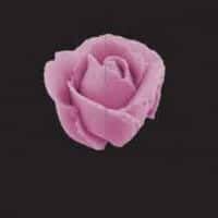 JEM Beccuccio Rose e Fiori n.127D