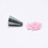 JEM Chrysanthmum / Smile Nozzle n.81