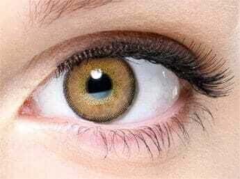 Lenti a Contatto Mensili Natural Soft Brown