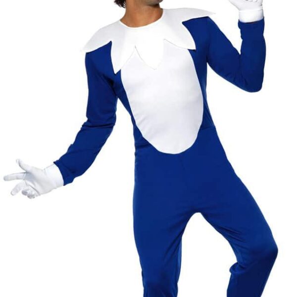 Costume da Picchio Pazzerello