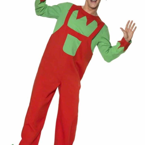 Costume da Elfo Lavoratore