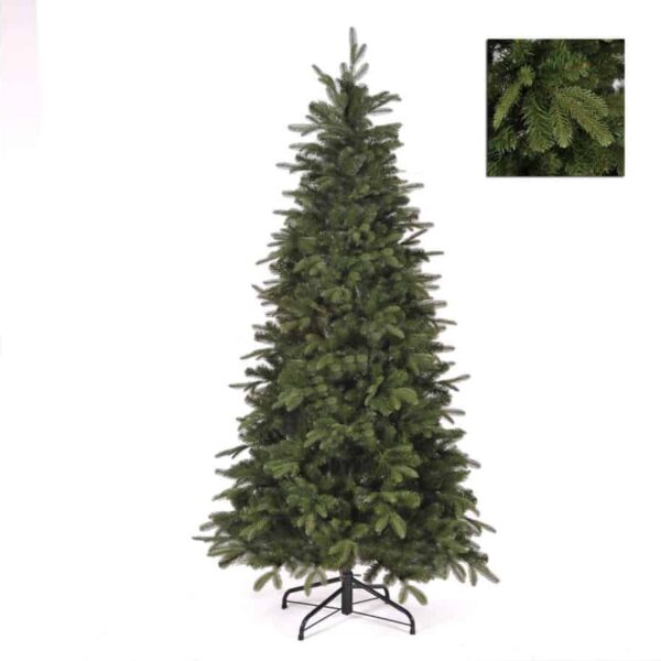 Abete Slim Montagne Rocciose