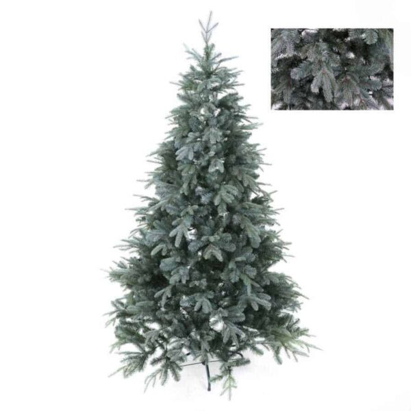 Abete Grigio D'America