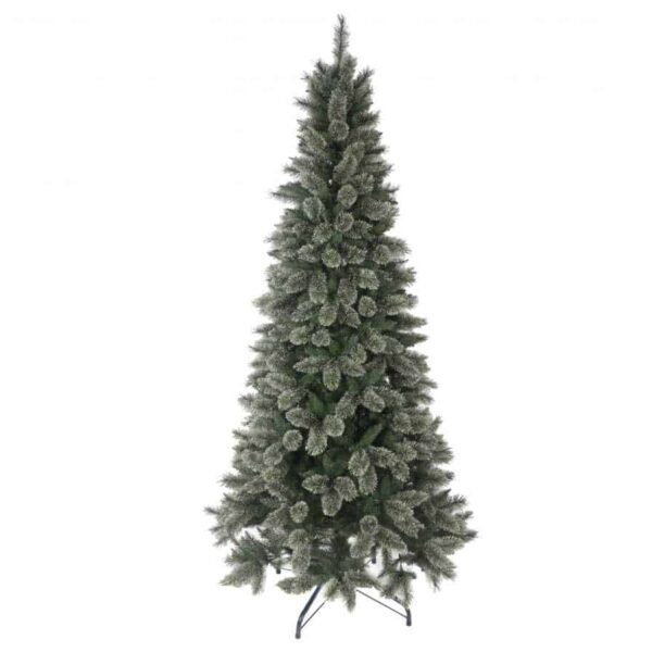Abete Slim California